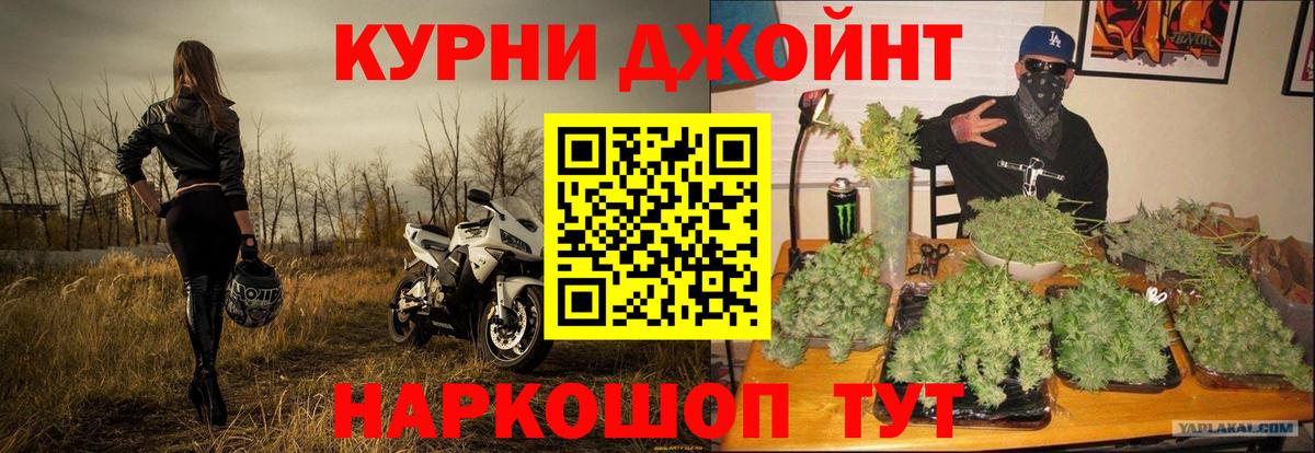 Бошки Шишки гибрид  Конопля сатива  Котельники  МАРИХУАНА семена  Вход с VPN 